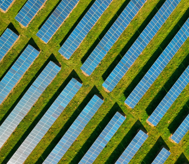 free-photo-of-an-artist (3)